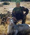 South Texas Exotic Hunting Safaris With All Seasons Guide Service