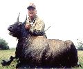 All Seasons Guide Service South Texas Nilgai Antelope Safaris - Click Here For A Larger View