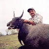 All Seasons Guide Service South Texas Nilgai Antelope Safaris - Click Here For A Larger View