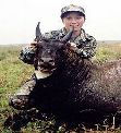 All Seasons Guide Service South Texas Nilgai Antelope Safaris - Click Here For A Larger View