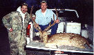 South Texas Exotic Hunting Safaris With All Seasons Guide Service