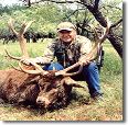 South Texas Exotic Hunting Safaris With All Seasons Guide Service