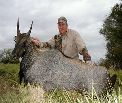 All Seasons Guide Service South Texas Nilgai Antelope Safaris - Click Here For A Larger View