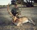 South Texas Exotic Hunting Safaris With All Seasons Guide Service