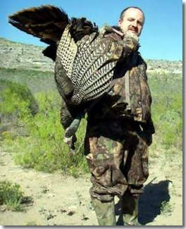 Guided Texas Rio Grande Turkey  Hunts, All Seasons Guide Service