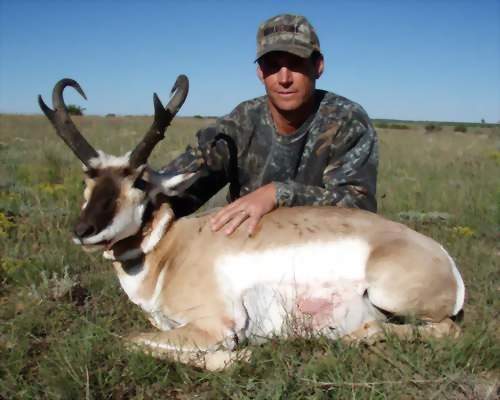 New Mexico Trophy Pronghorn Antelope Hunting, Guided Pronghorn Antelope Hunts. All Seasons Guide Service.