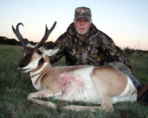 New Mexico Trophy Pronghorn Antelope Hunting, Guided Pronghorn Antelope Hunts. All Seasons Guide Service.