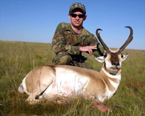 New Mexico Trophy Pronghorn Antelope Hunting, Guided Pronghorn Antelope Hunts. All Seasons Guide Service.