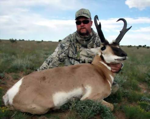 New Mexico Trophy Pronghorn Antelope Hunting, Guided Pronghorn Antelope Hunts. All Seasons Guide Service.