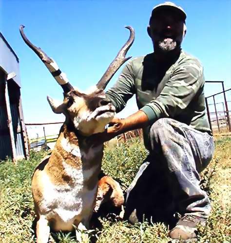 New Mexico Trophy Pronghorn Antelope Hunting, Guided Pronghorn Antelope Hunts. All Seasons Guide Service.