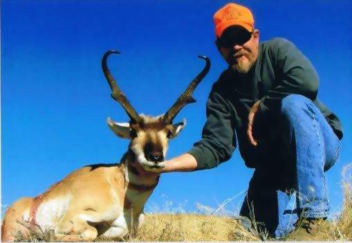 Wyoming Trophy Pronghorn Antelope Hunting, Guided Pronghorn Antelope Hunts. All Seasons Guide Service.