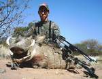 Click Here To View Image,South Africa Bow Hunting Safaris, All Seasons Guide Service African Safaris.