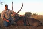 Click On Image For Larger View,  African Safari  Rifle Hunting With All Seasons Guide Service.