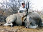 Click On Image For Larger View,  African Safari  Rifle Hunting With All Seasons Guide Service.