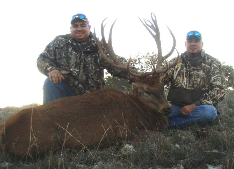 Texas Exotics Animal Hunts -All Season Guide Service