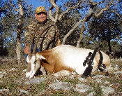 South Texas Exotic Hunting Safaris With All Seasons Guide Service 