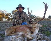 South Texas Exotic Hunting Safaris With All Seasons Guide Service 