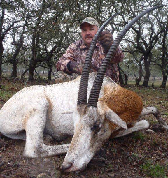 Texas Exotics Animal Hunts -All Season Guide Service