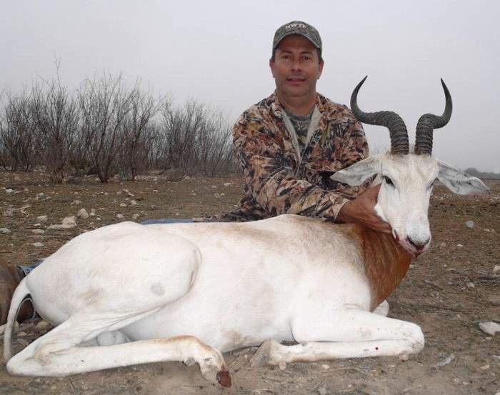 Texas Exotics Animal Hunts -All Season Guide Service