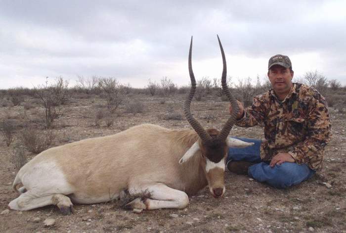 Texas Exotics Animal Hunts -All Season Guide Service