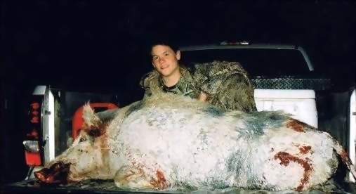 South Texas Guided Hog Hunts - All Seasons Guide Service.