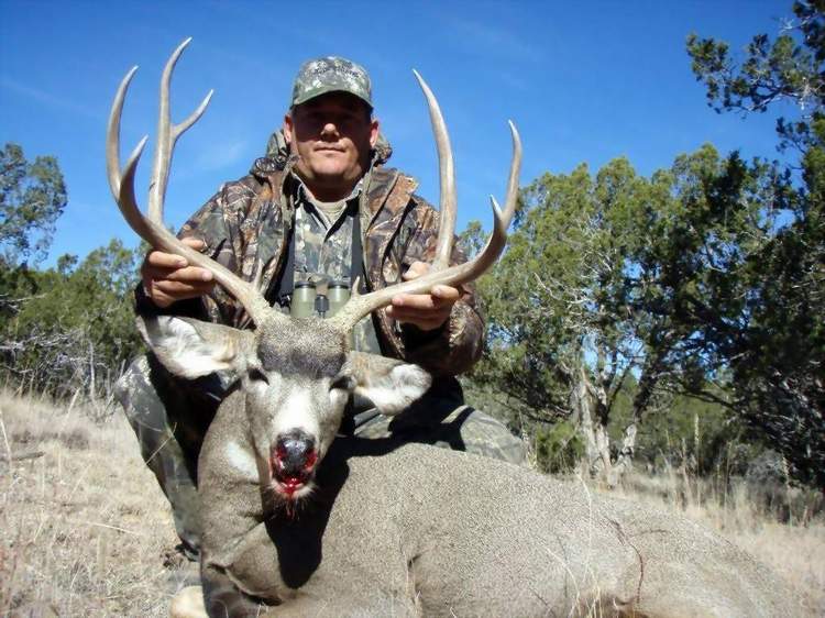 Guided New Mexico Mule Deer Hunts With All Seasons Guide Service 