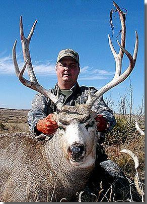 Guided New Mexico Mule Deer Hunts With All Seasons Guide Service 