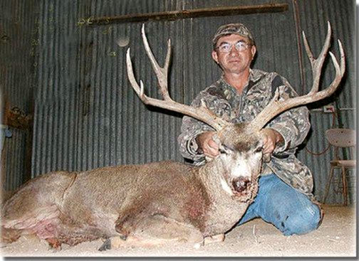 Guided New Mexico Mule Deer Hunts With All Seasons Guide Service 