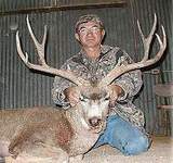 Guided New Mexico Mule Deer Hunts With All Seasons Guide Service 