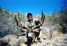 Click On Image for Larger View, Sonora Mexico Mule Deer Hunts,guided mule deer hunts,Hunt Mexico For Trophy Mule Deer.