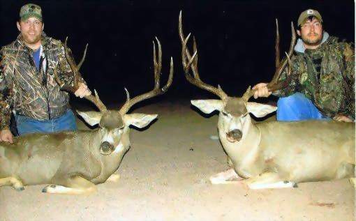 Sonora Mexico Mule Deer Hunts,guided mule deer hunts,Hunt Mexico For Trophy Mule Deer