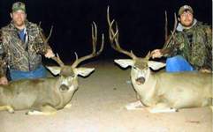 Click On Image for Larger View, Sonora Mexico Mule Deer Hunts,guided mule deer hunts,Hunt Mexico For Trophy Mule Deer.