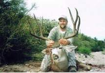 Click On Image for Larger View, Sonora Mexico Mule Deer Hunts,guided mule deer hunts,Hunt Mexico For Trophy Mule Deer.