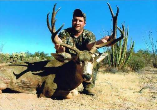 Sonora Mexico Mule Deer Hunts,guided mule deer hunts,Hunt Mexico For Trophy Mule Deer