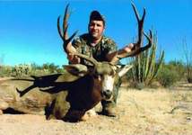 Click On Image for Larger View, Sonora Mexico Mule Deer Hunts,guided mule deer hunts,Hunt Mexico For Trophy Mule Deer.