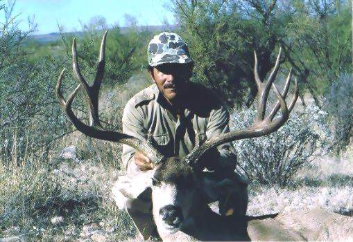 Sonora Mexico Mule Deer Hunts,guided mule deer hunts,Hunt Mexico For Trophy Mule Deer