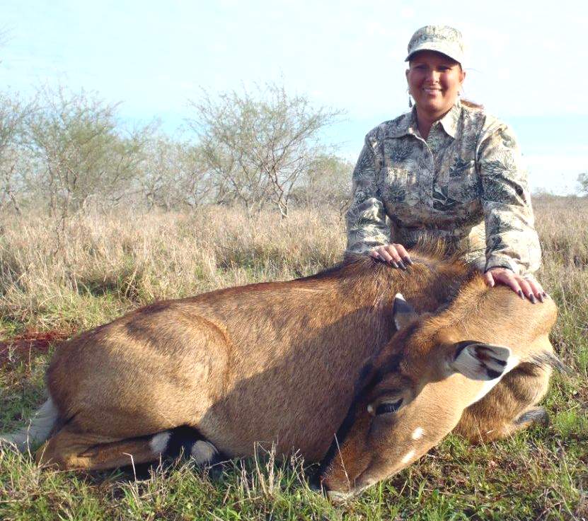 All Seasons Guide Service South Texas Nilgai Antelope Safaris - Click Here To Return To The Nilgai Hunting Gallery.