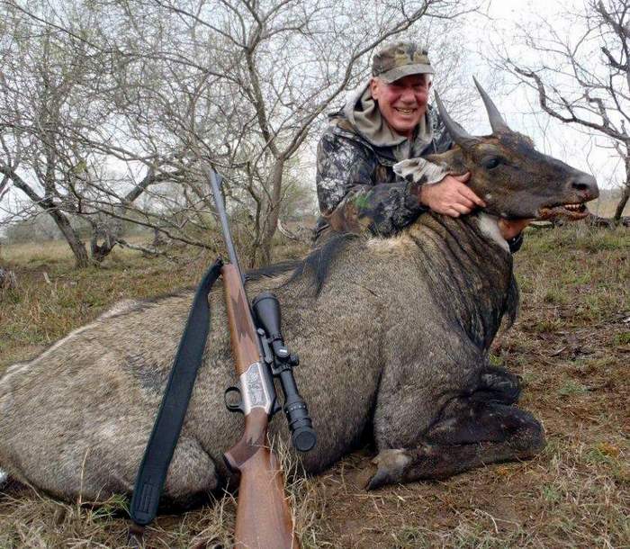 All Seasons Guide Service South Texas Nilgai Antelope Safaris - Click Here To Return To The Nilgai Hunting Gallery.