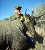 All Seasons Guide Service South Texas Nilgai Antelope Safaris - Click Here For A Larger View