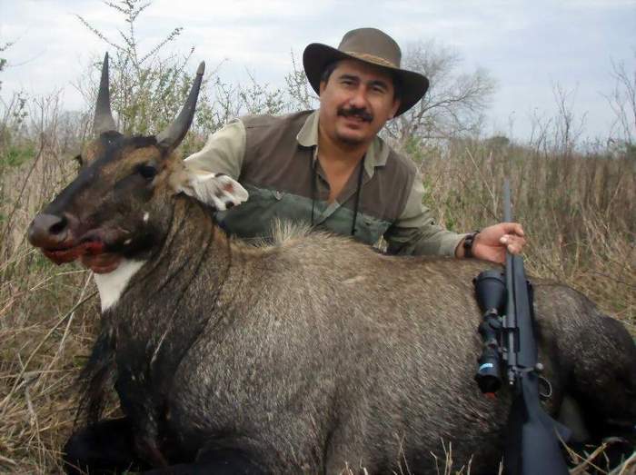 All Seasons Guide Service South Texas Nilgai Antelope Safaris.