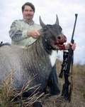 All Seasons Guide Service South Texas Nilgai Antelope Safaris - Click Here For A Larger View