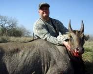 All Seasons Guide Service South Texas Nilgai Antelope Safaris - Click Here For A Larger View