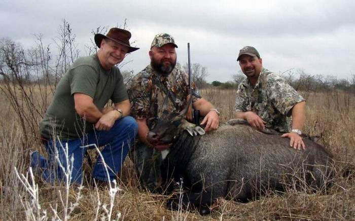 All Seasons Guide Service South Texas Nilgai Antelope Safaris.