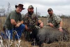 All Seasons Guide Service South Texas Nilgai Antelope Safaris - Click Here For A Larger View