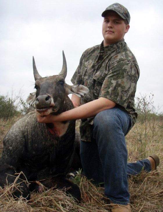 All Seasons Guide Service South Texas Nilgai Antelope Safaris.