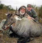 All Seasons Guide Service South Texas Nilgai Antelope Safaris - Click Here For A Larger View