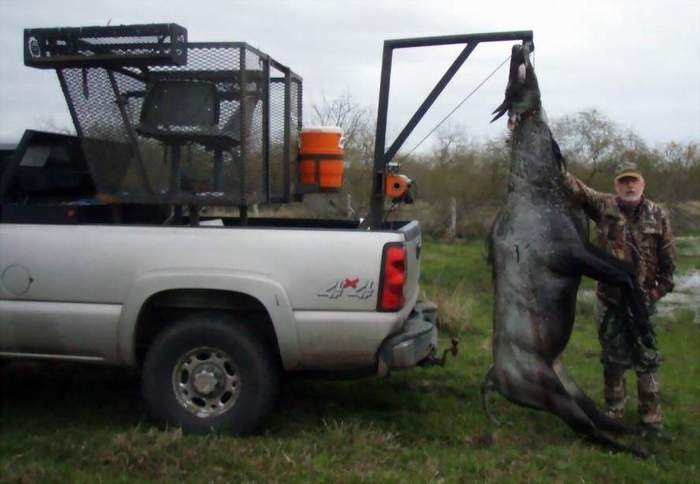 All Seasons Guide Service South Texas Nilgai Antelope Safaris.