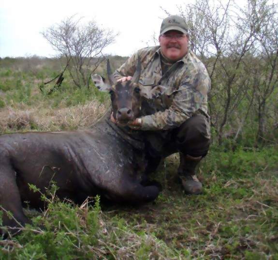 All Seasons Guide Service South Texas Nilgai Antelope Safaris.