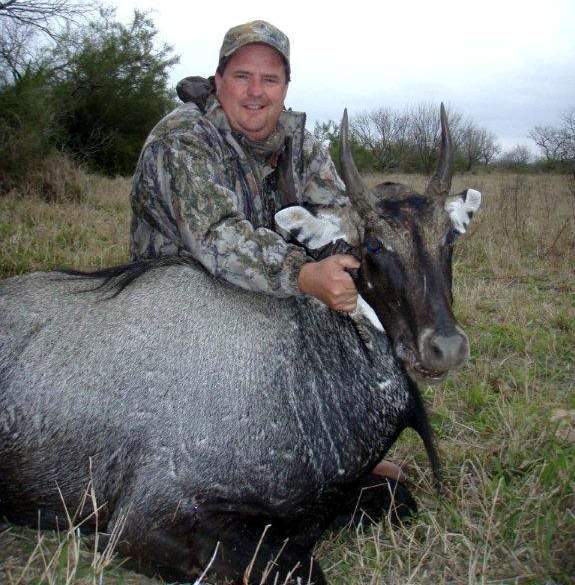 All Seasons Guide Service South Texas Nilgai Antelope Safaris.