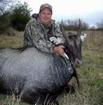 All Seasons Guide Service South Texas Nilgai Antelope Safaris - Click Here For A Larger View